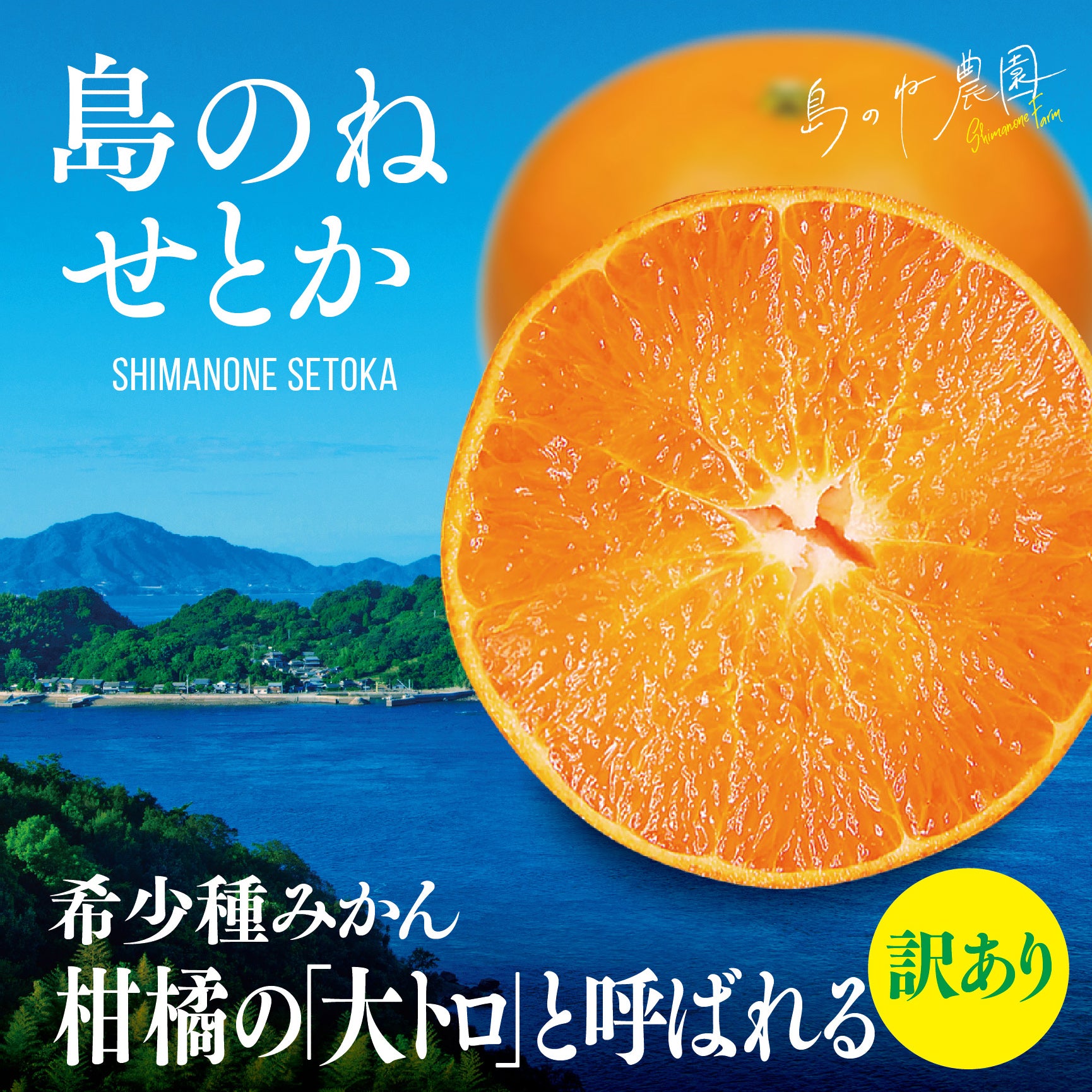 せとか【訳あり/愛媛みかん/木成り完熟/サイズ混合/3kg】