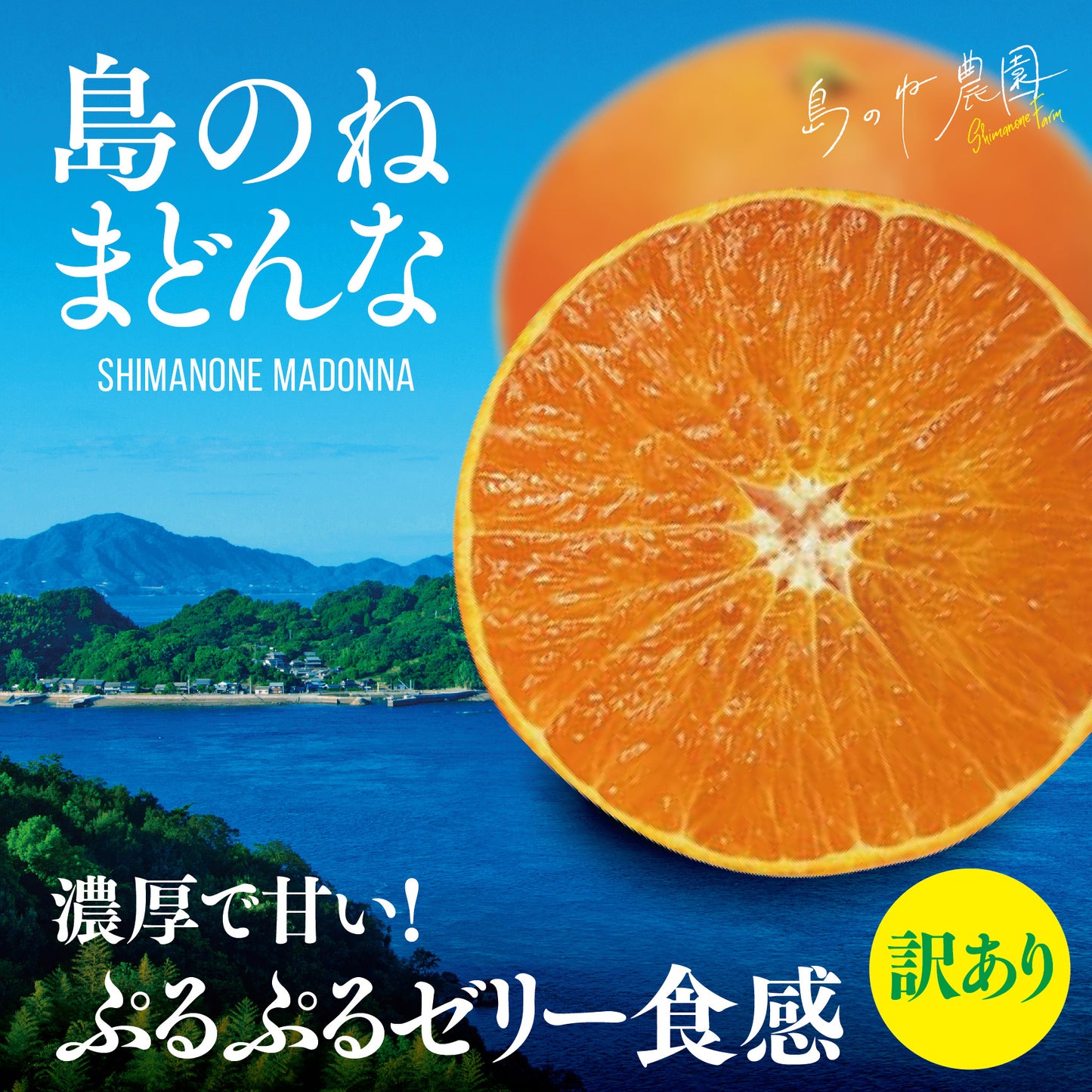 島のねまどんな【訳あり/愛媛みかん/木成り完熟/サイズ混合/2kg】