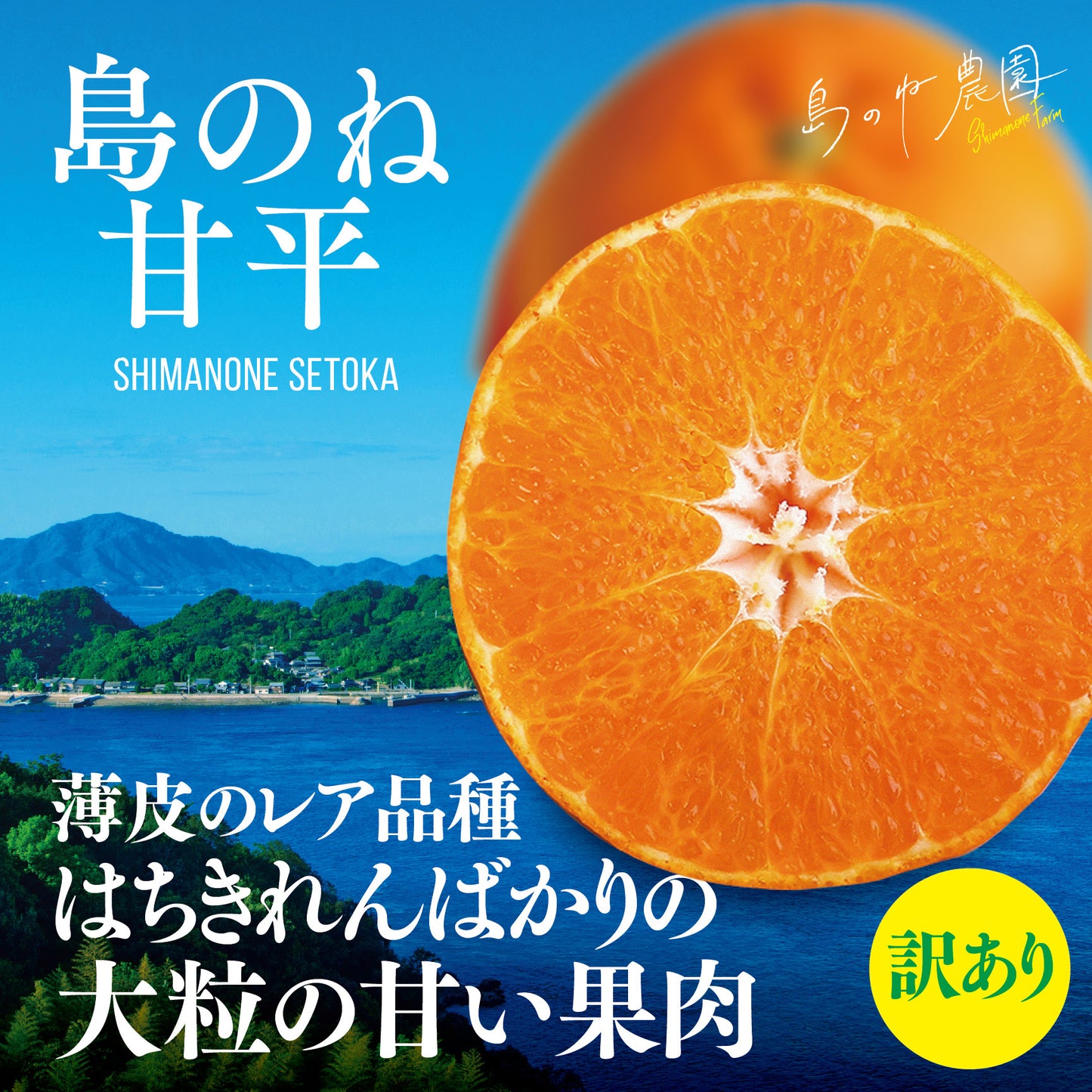 甘平【訳あり/愛媛みかん/木成り完熟/サイズ混合/3.5kg】