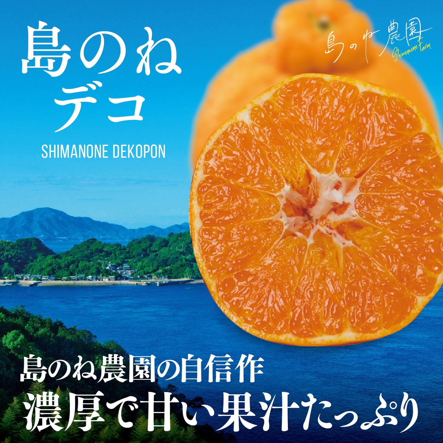 島のねデコ【愛媛みかん/木成り完熟/サイズ混合/3.5kg】