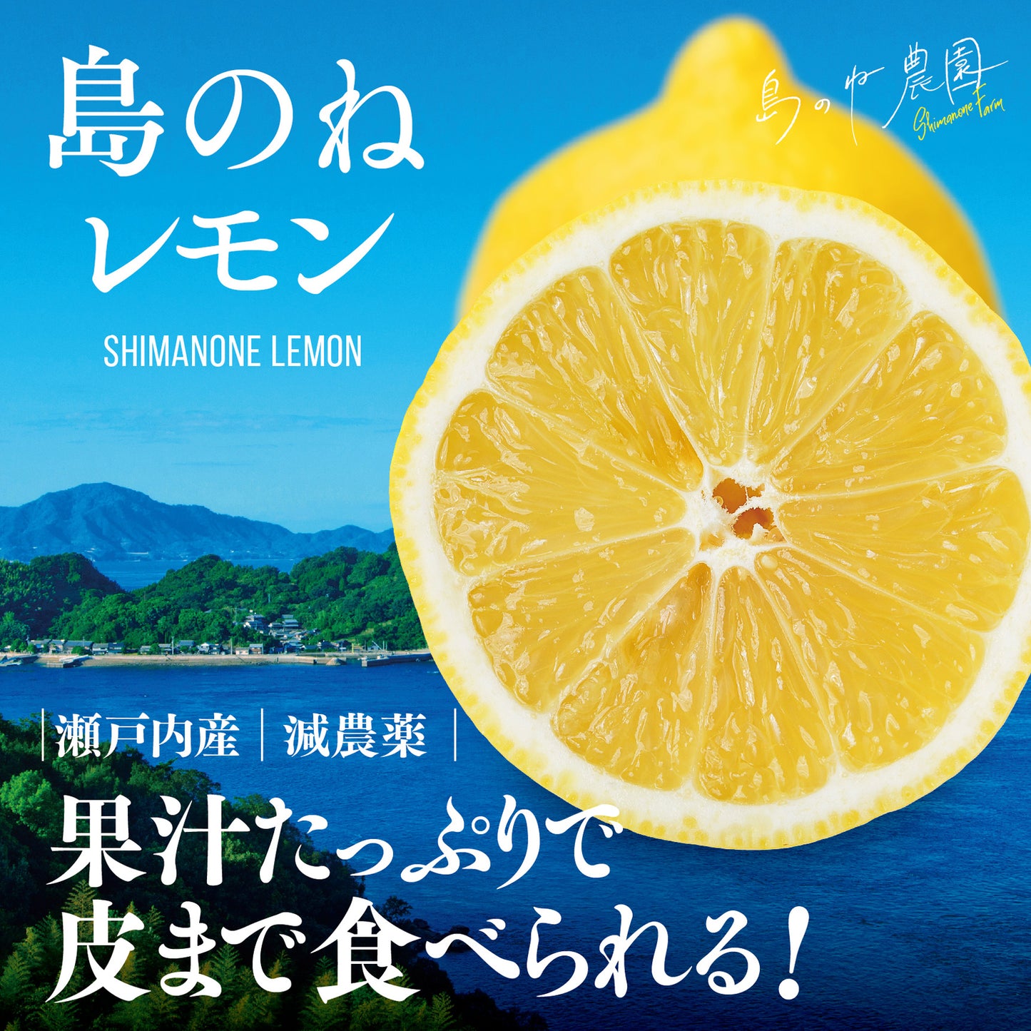 島のねレモン【瀬戸内産/減農薬/サイズ混合/3kg】