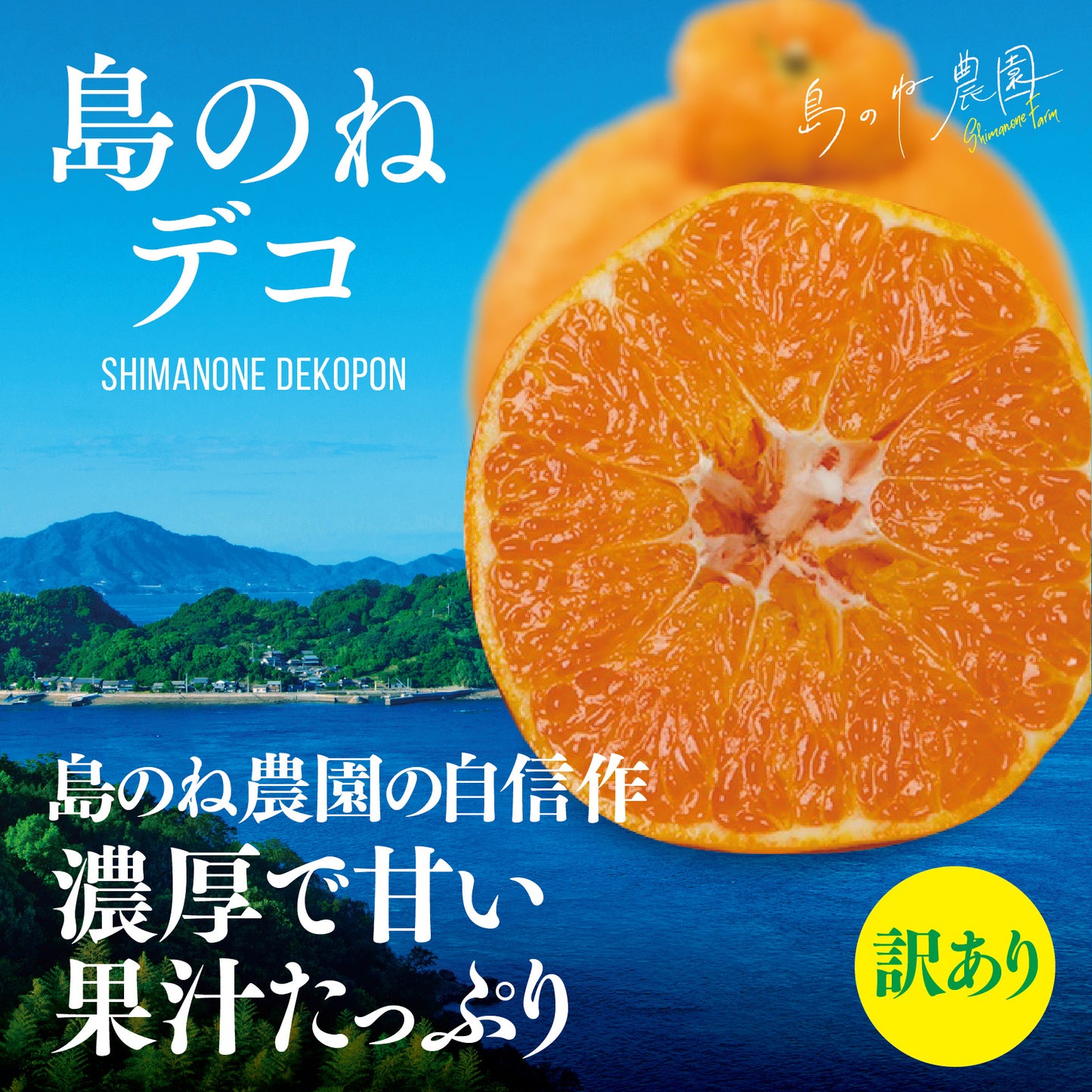 島のねデコ【訳あり/愛媛みかん/木成り完熟/サイズ混合/3.5kg】
