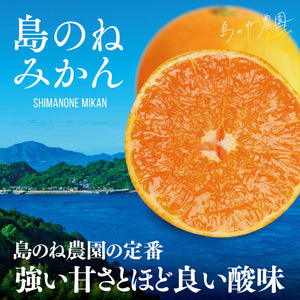 みかん【愛媛みかん/木成り完熟/5kg】