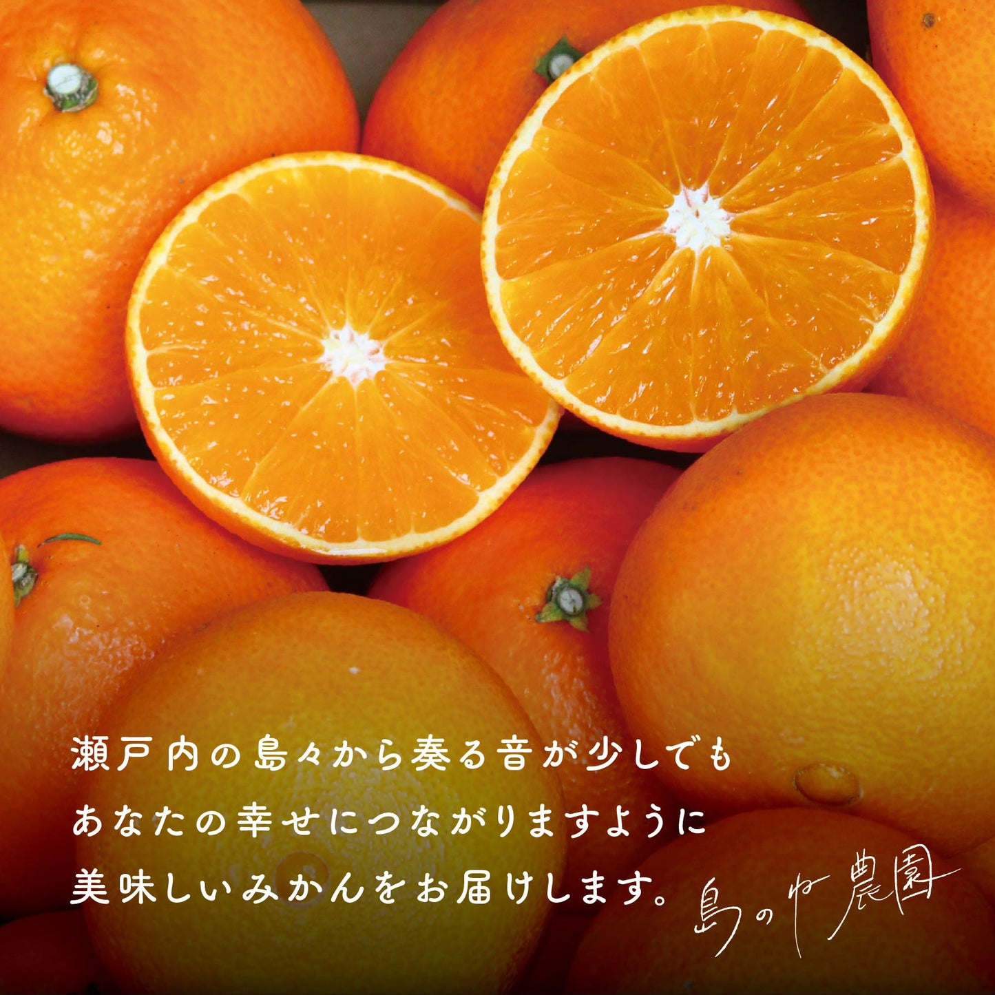 島のねまどんな【愛媛みかん/木成り完熟/サイズ混合/5kg】