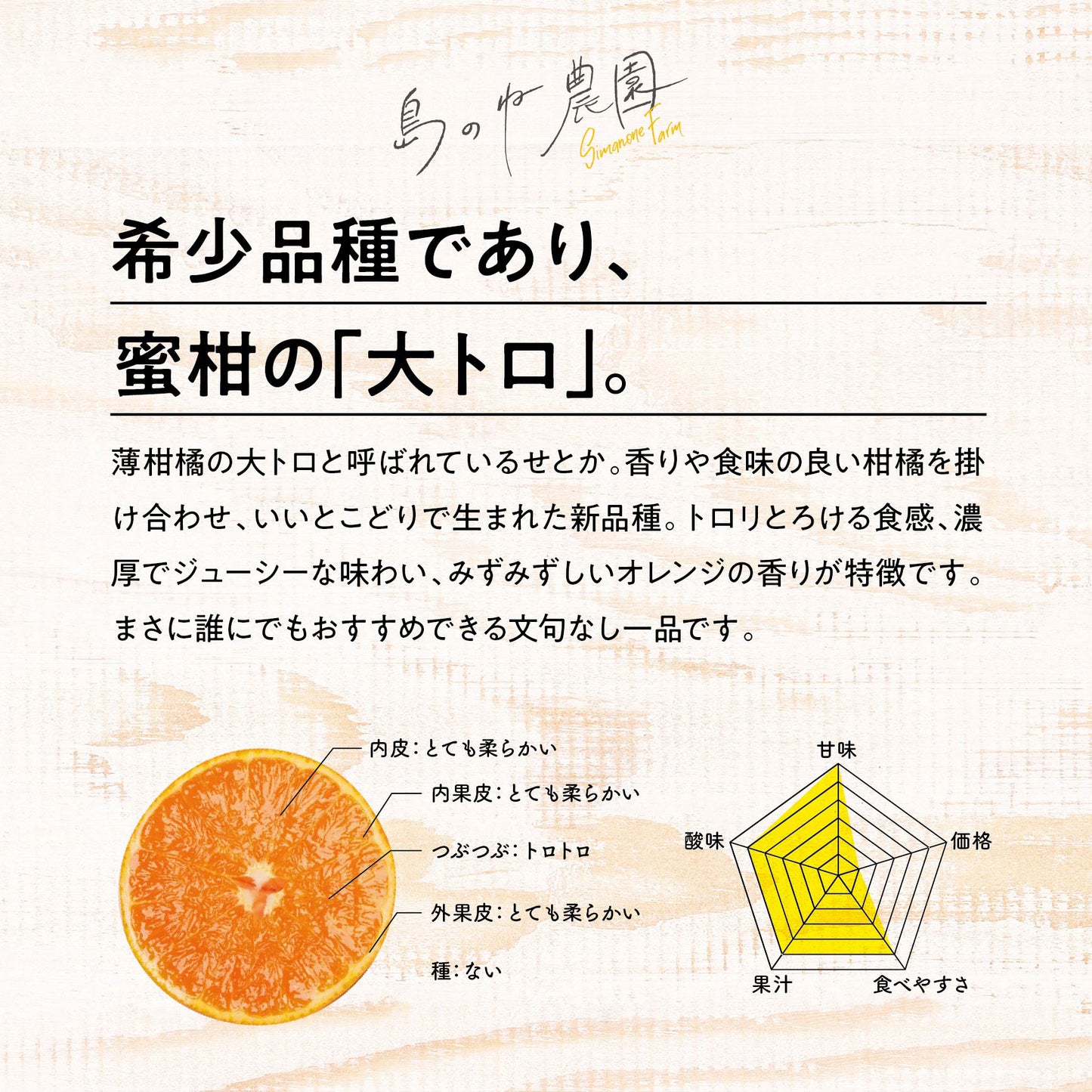 せとか【愛媛みかん/木成り完熟/5kg】