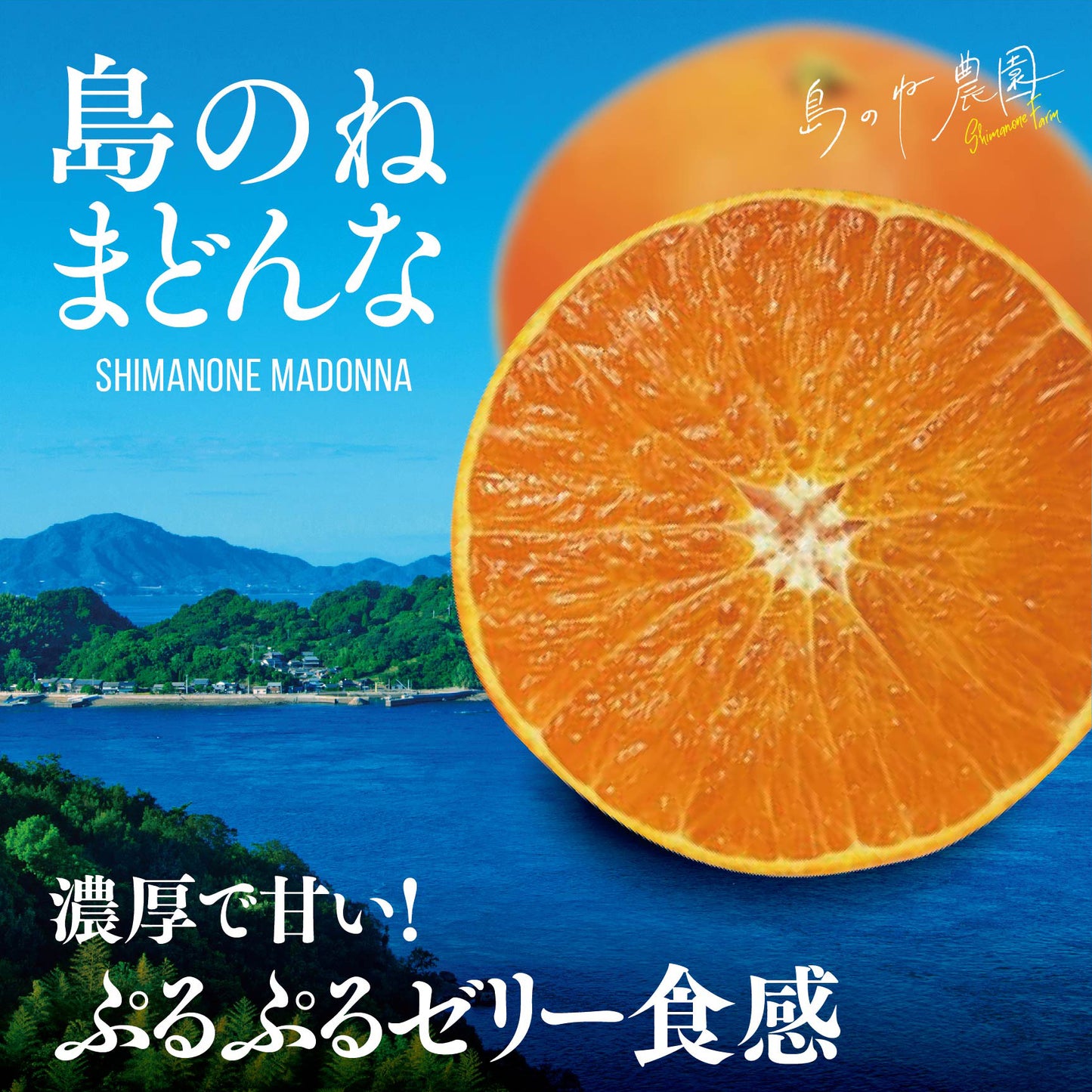 島のねまどんな【愛媛みかん/木成り完熟/サイズ混合/5kg】