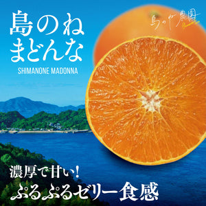 島のねまどんな【愛媛みかん/木成り完熟/サイズ混合/5kg】