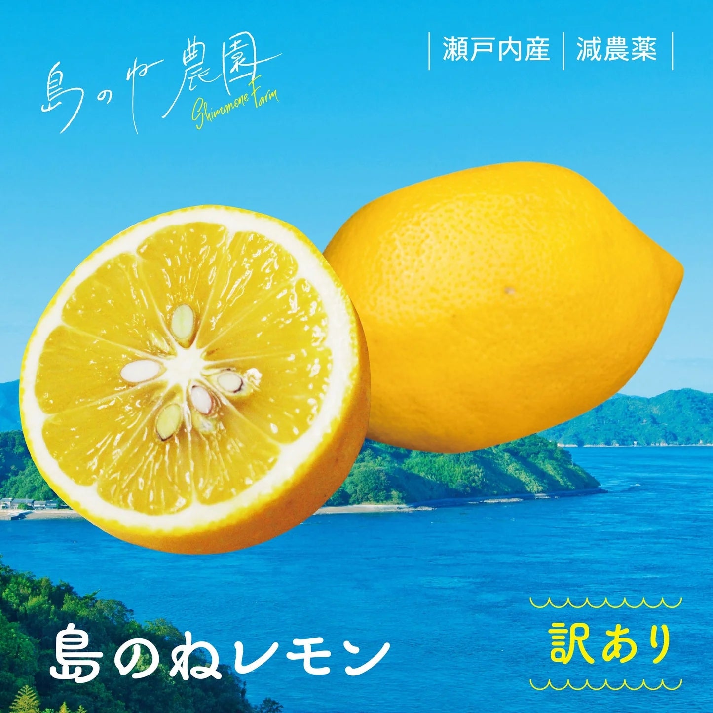 島のねレモン【訳あり/瀬戸内産/減農薬/サイズ混合/3kg】