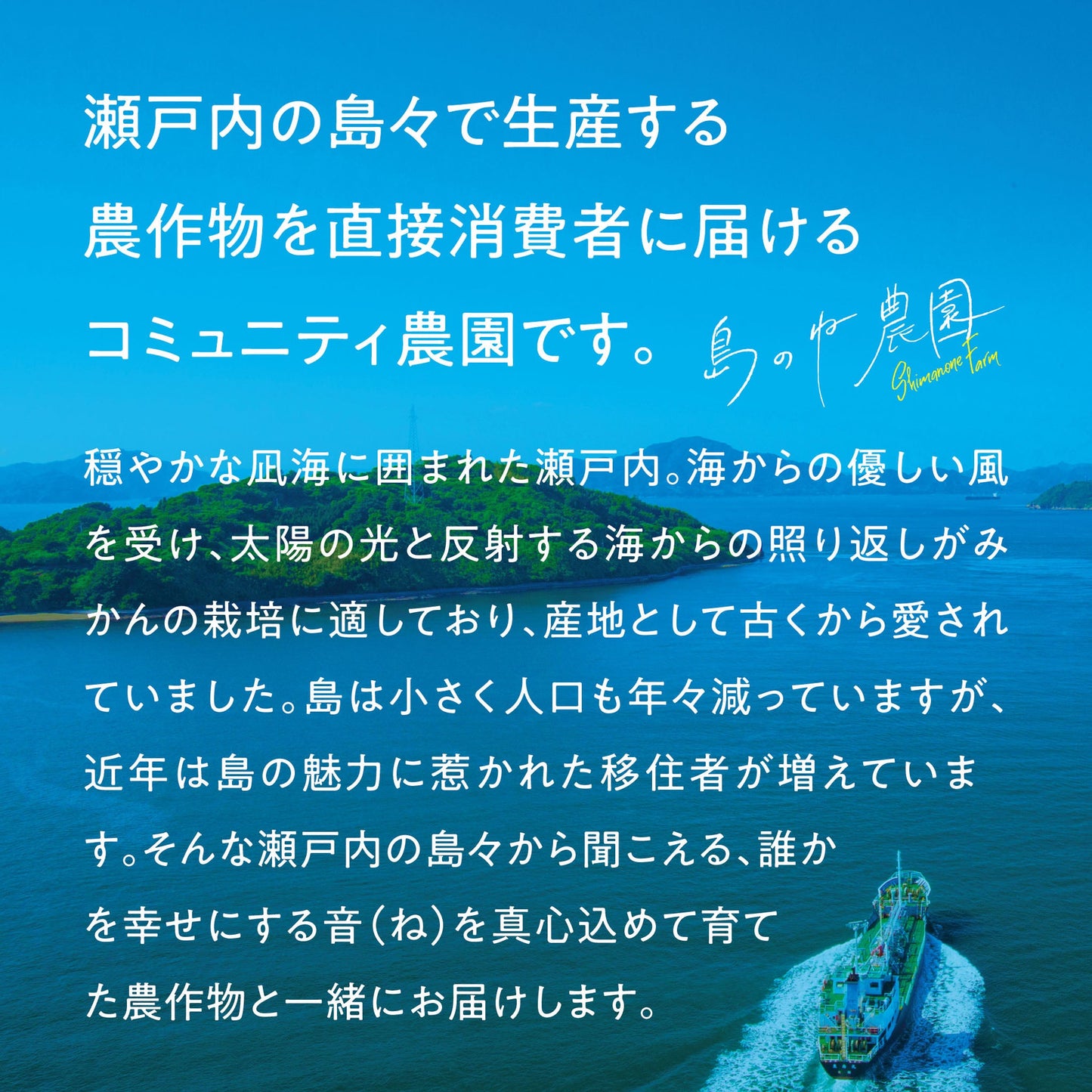 有機栽培みかん【訳あり/愛媛みかん/無農薬/3kg】