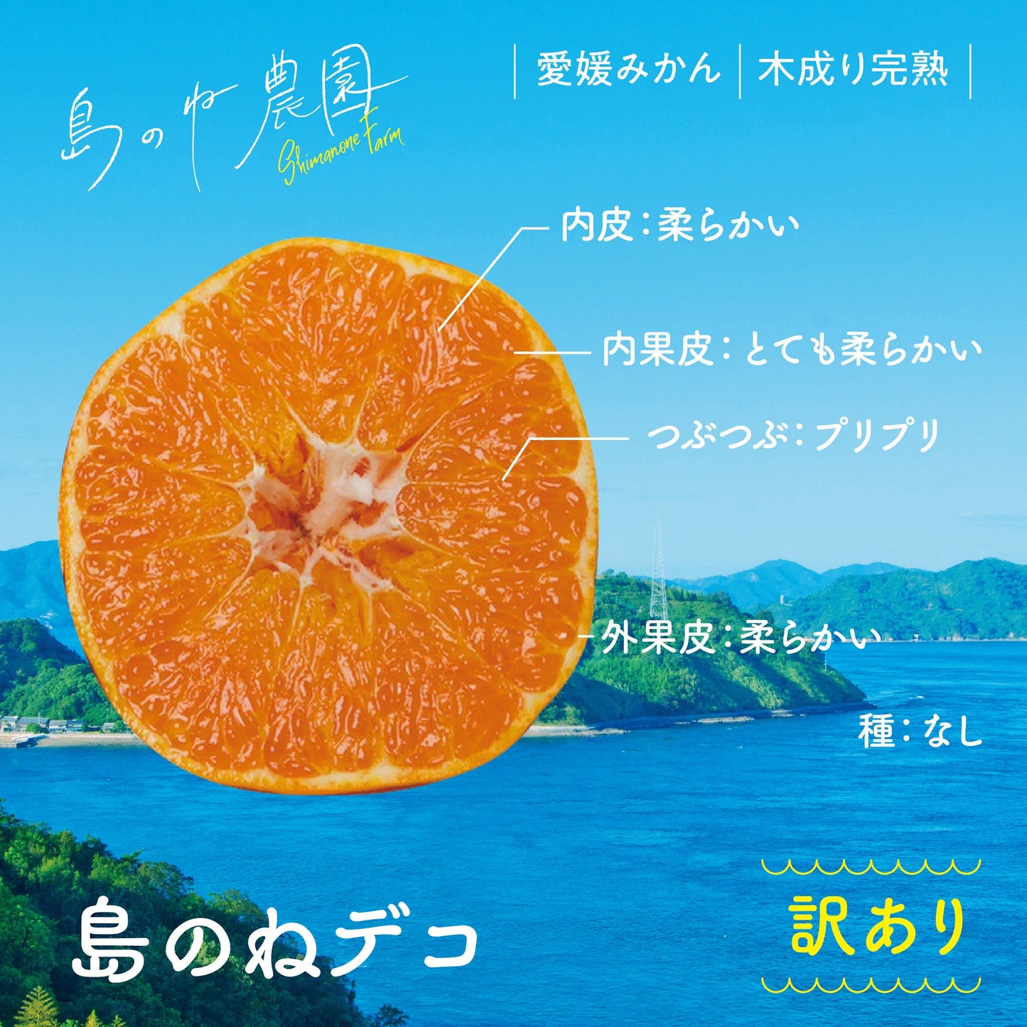 島のねデコ【訳あり/愛媛みかん/木成り完熟/サイズ混合/3.5kg】