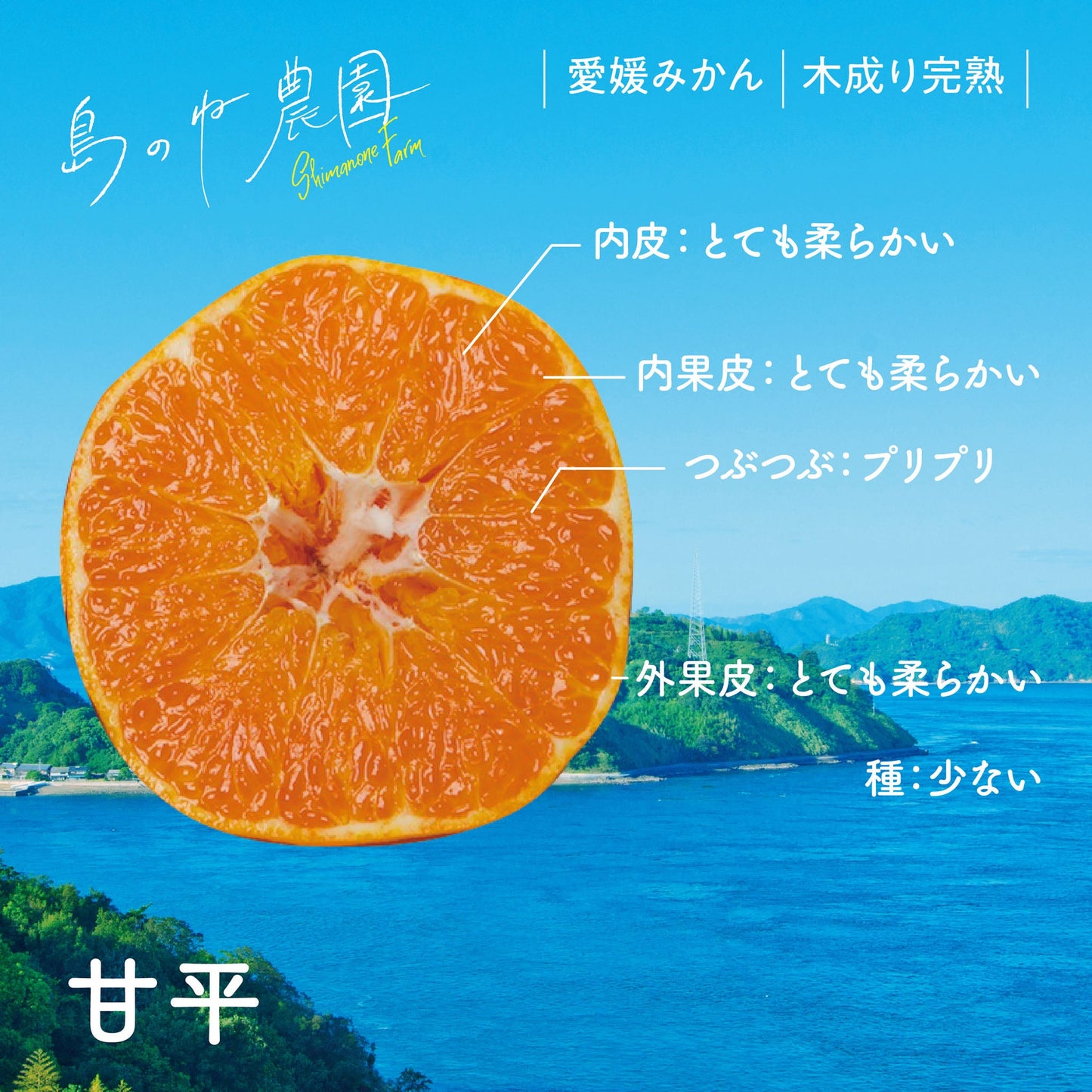 甘平【訳あり/愛媛みかん/木成り完熟/サイズ混合/3.5kg】