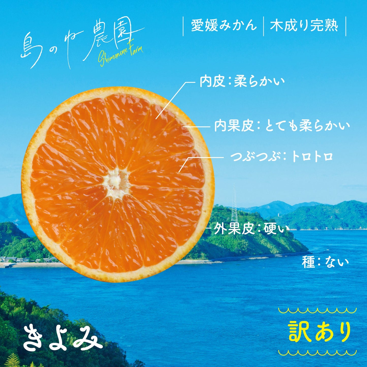 きよみ【訳あり/愛媛みかん/木成り完熟/サイズ混合/5kg】