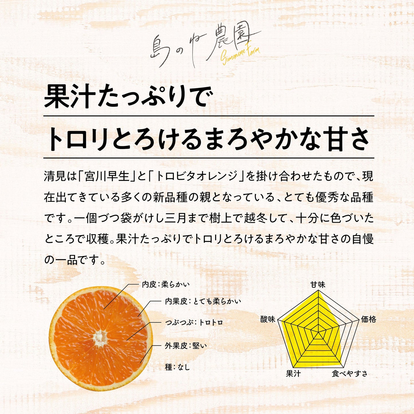 きよみ【訳あり/愛媛みかん/木成り完熟/サイズ混合/5kg】