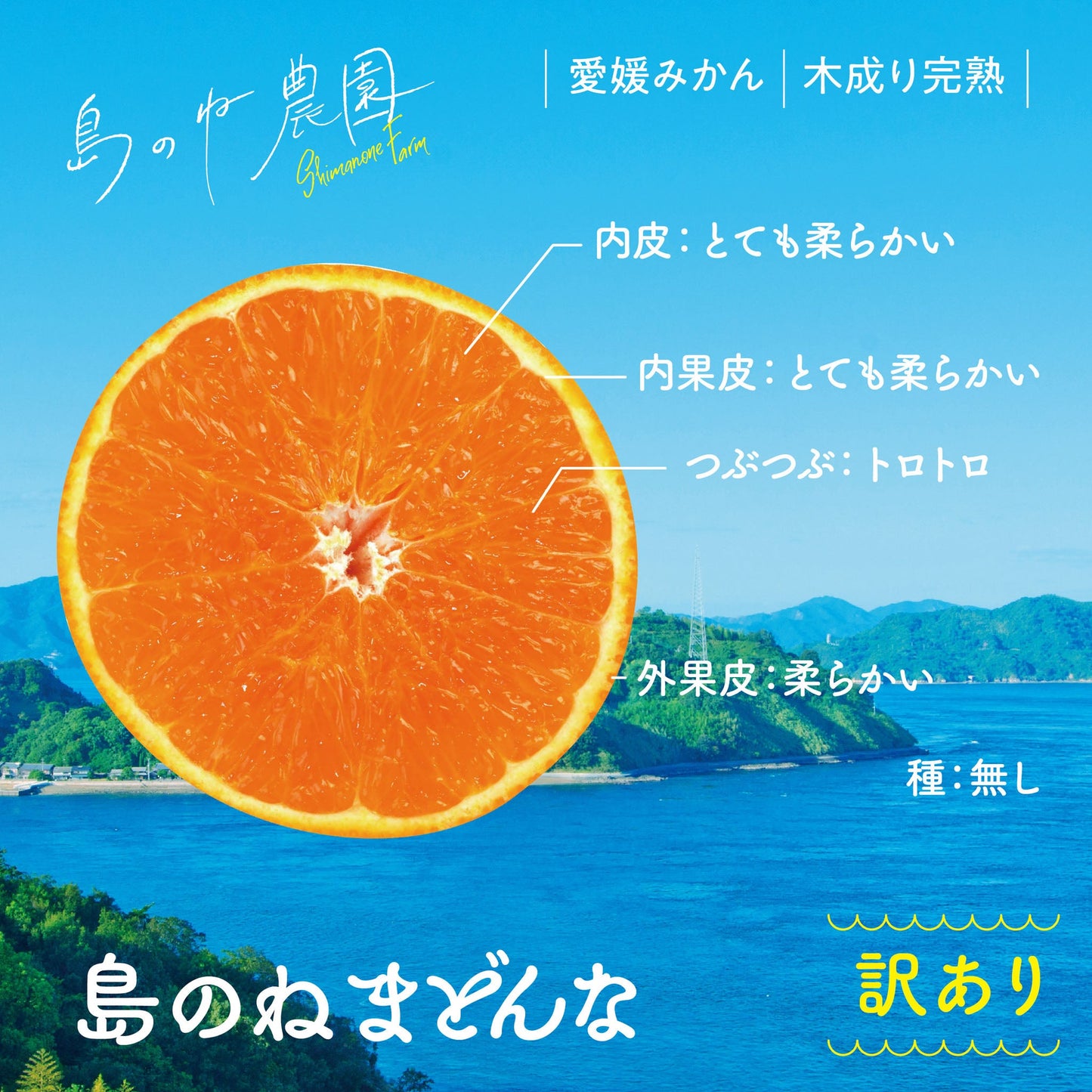 島のねまどんな【訳あり/愛媛みかん/木成り完熟/サイズ混合/2kg】