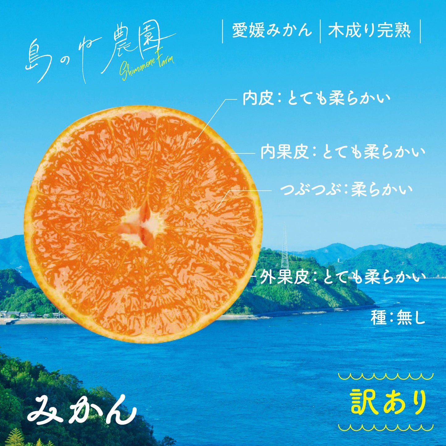 みかん【訳あり/愛媛みかん/木成り完熟/3kg】