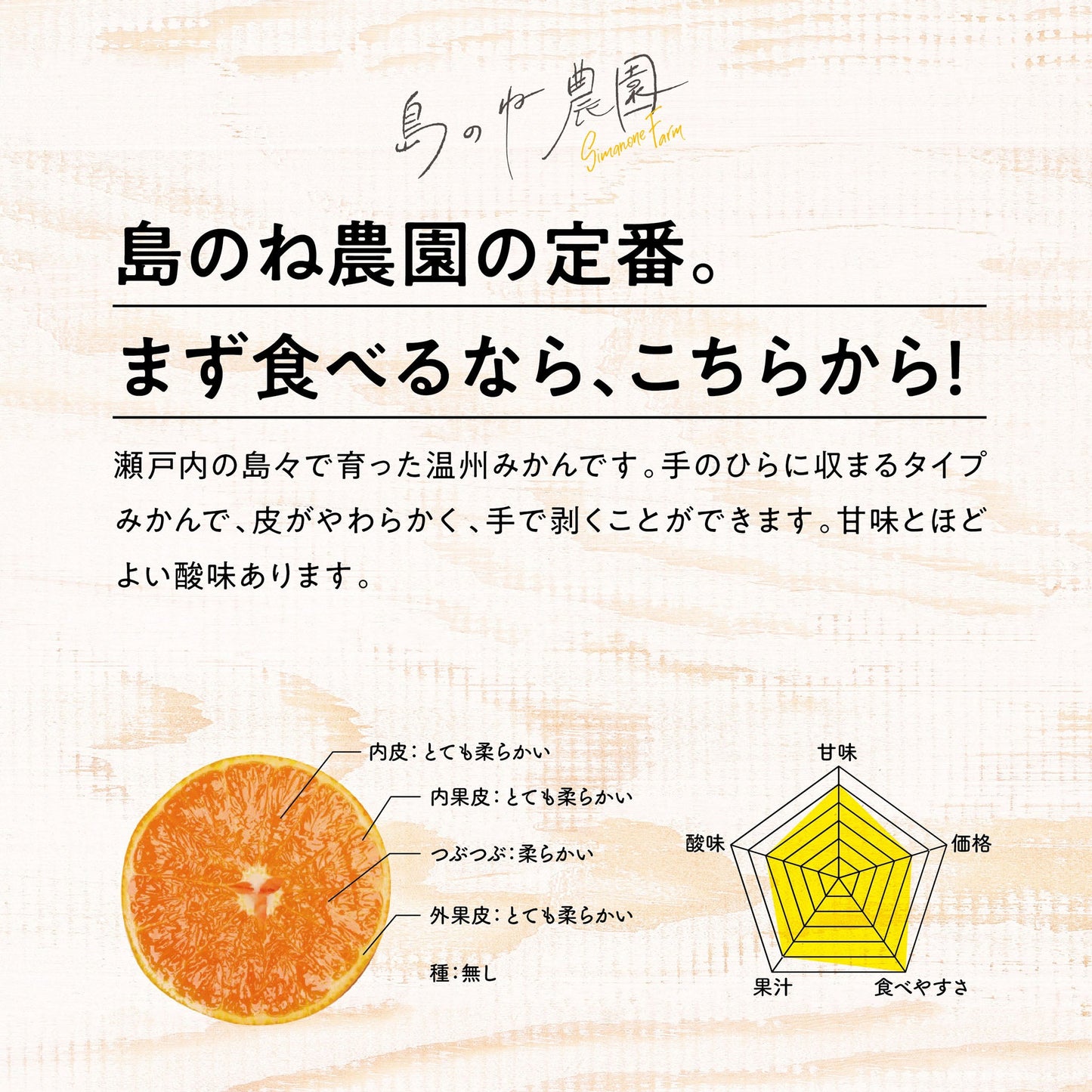 みかん【愛媛みかん/木成り完熟/5kg】