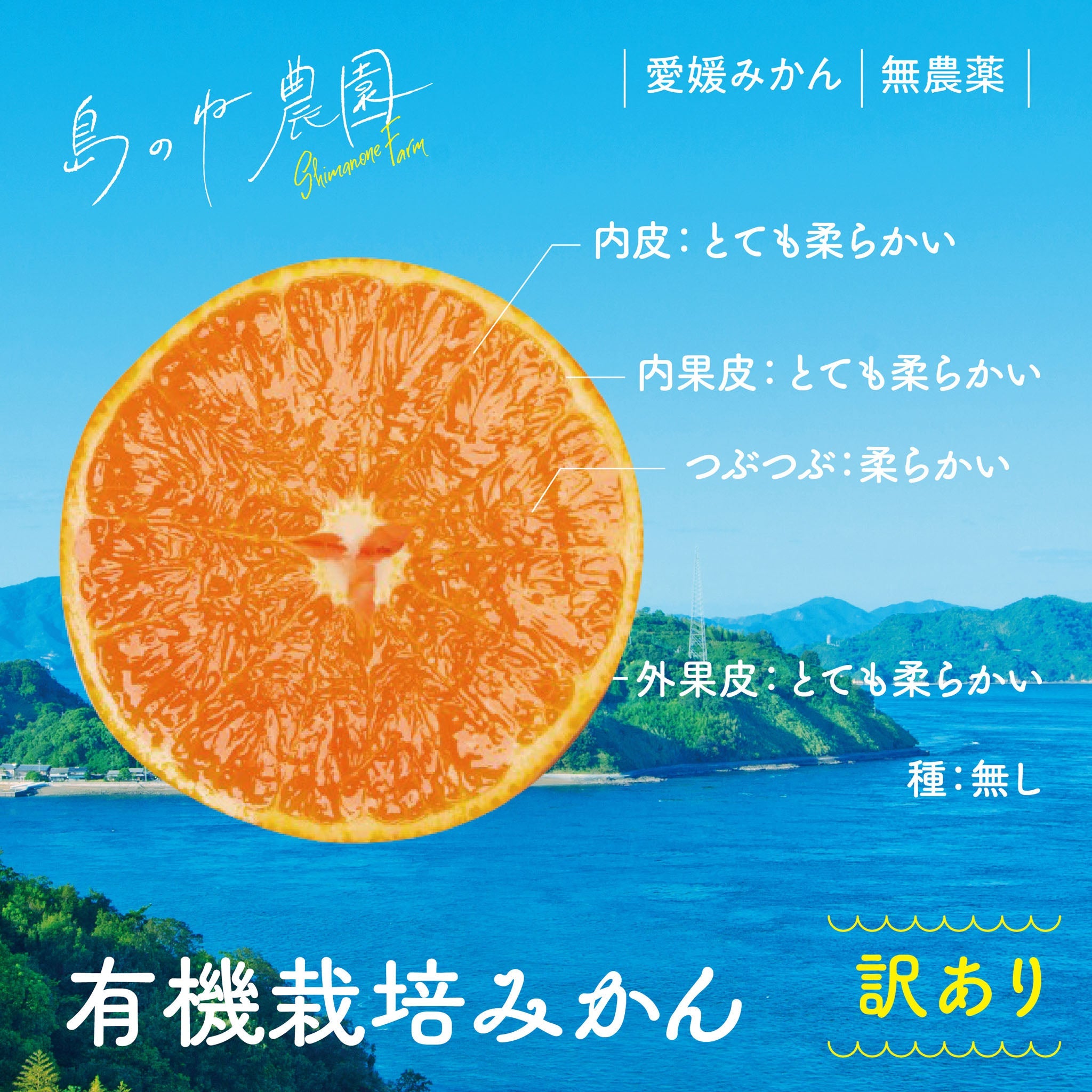 有機栽培みかん【訳あり/愛媛みかん/無農薬/3kg】 – 島のね農園