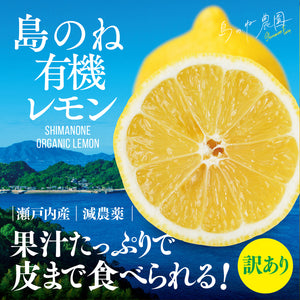 有機栽培レモン【訳あり/瀬戸内産/無農薬/5kg】