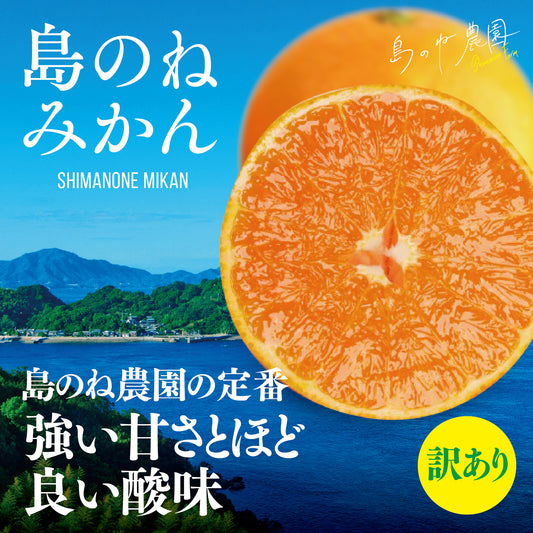 みかん【訳あり/愛媛みかん/木成り完熟/5kg】