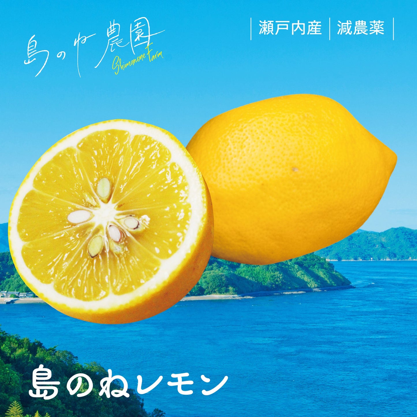 島のねレモン【瀬戸内産/減農薬/サイズ混合/3kg】