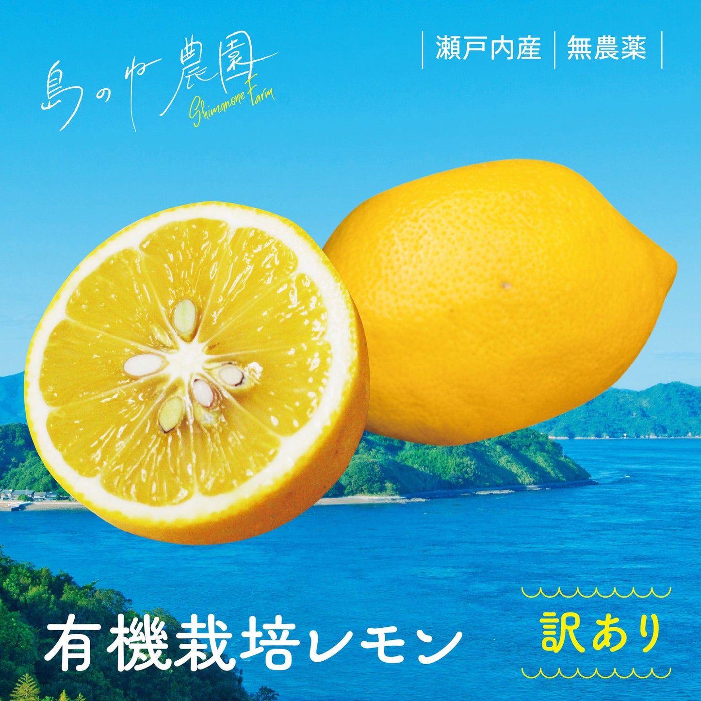 有機栽培レモン【訳あり/瀬戸内産/無農薬/5kg】